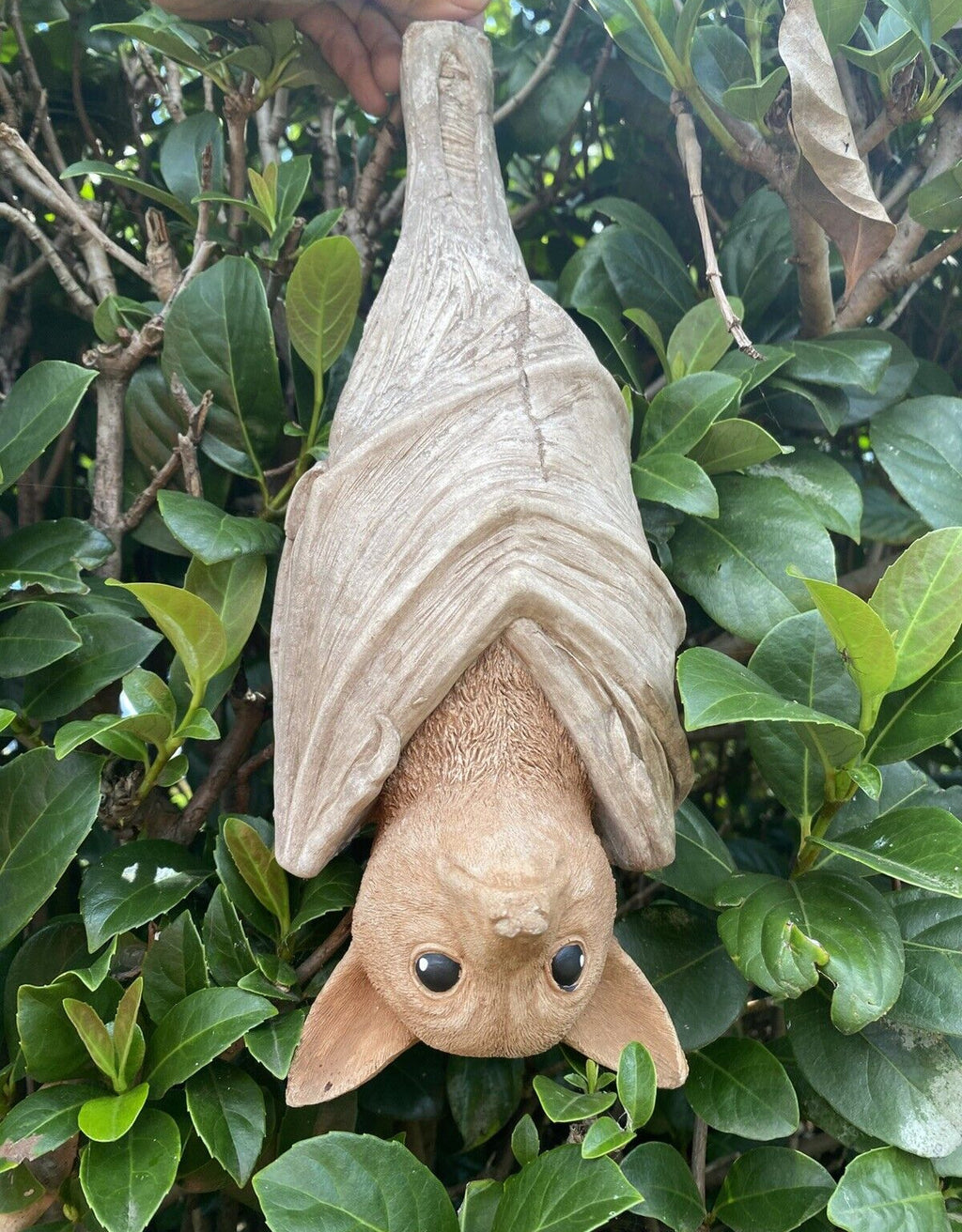 Hanging Bat Flying Fox Statue Concrete Garden Ornament Australian Made