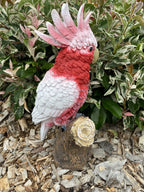 AUSTRALIAN MAJOR MITCHEL BIRD ON A BRANCH ANIMAL GARDEN STATUE ORNAMENT GIFT