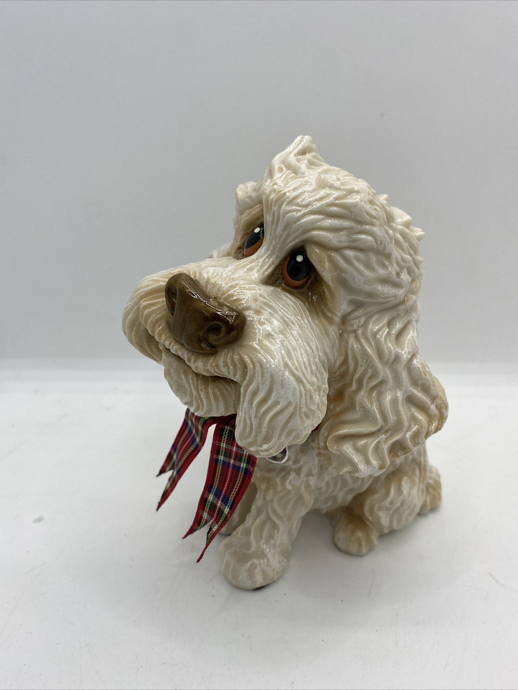 Little Paws - Winnie The Poodle Cocapoo Cross Cavoodle Pets With Personality