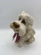 Little Paws - Winnie The Poodle Cocapoo Cross Cavoodle Pets With Personality