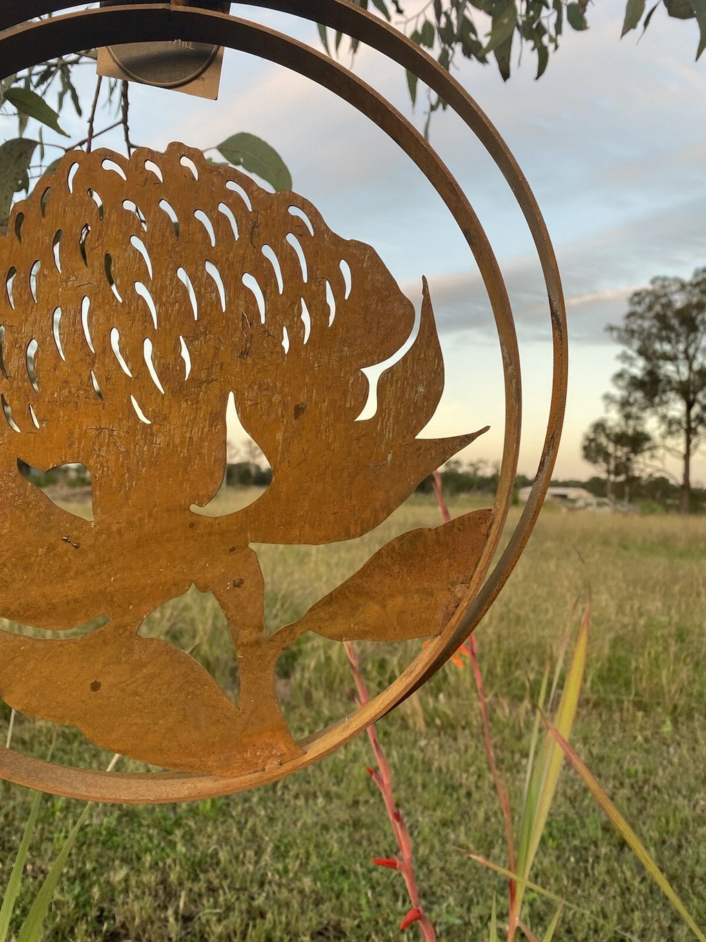 Australian Waratah Flower Round Rust Corten Steel Metal Hanging Double Ring 34cm