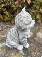Resin Grey Tabby Cat Garden Statue | Sitting Cat Ornament