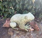 Green Tree Frog On A Log  Animal Concrete Cement Garden Statue Australian Made