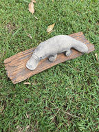 Platypus On A LogStatue Ornament Animal Concrete Cement Garden Australian Made