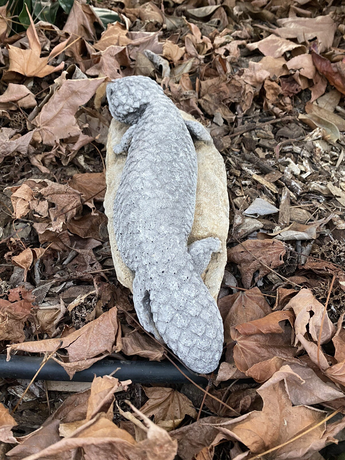 Shingleback Lizard Statue Ornament Animal Cement Concrete Garden Australian Made