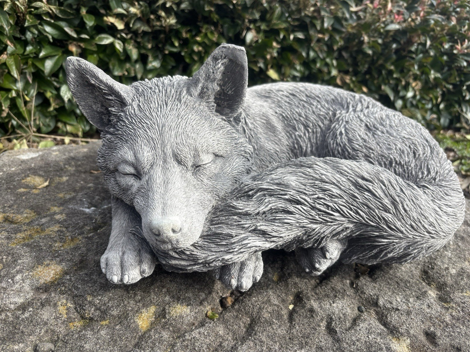 Australian Made Concrete Fox Garden Statue | Outdoor Wildlife Ornament
