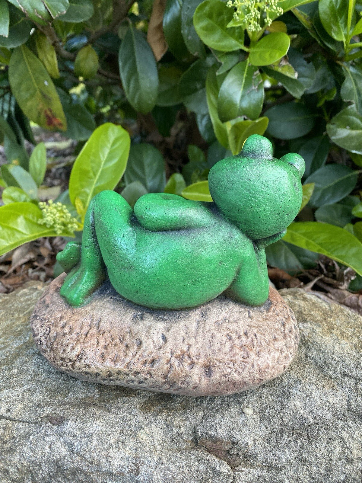 Green Tree Frog Welcome  Animal Concrete Cement Garden Statue Australian Made