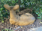 Australian Kangaroo Laying Garden Statue Ornament Figurine 46 cm