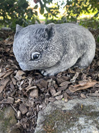 Australian Wombat Grazing Statue Ornament Animal Concrete Garden Australian Made