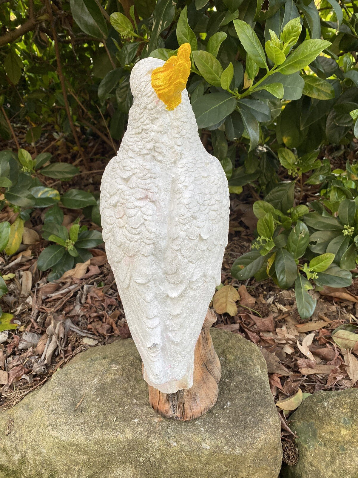 Sulfa Crested Cockatoo Garden Statue Ornament Animal Concrete  Australian Made