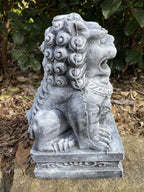 Foo Dog Guardian Lion Statue Concrete Cement Garden Statue Australian Made