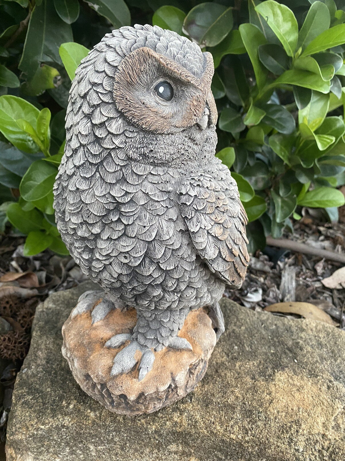 Owl Statue Ornament Animal Concrete Garden Australian Made