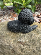 CAVOODLE SPOODLE POODLE STATUE BLACK PUPPY DOG ANIMAL GARDEN ORNAMENT SCULPTURE