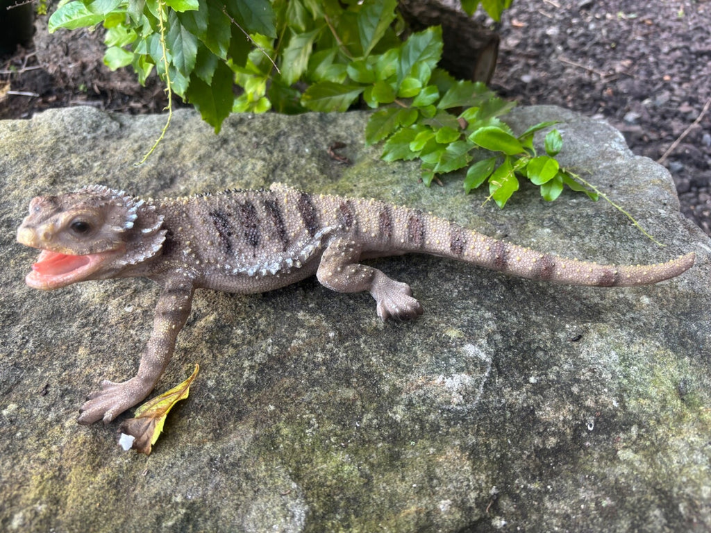 Bearded Dragon Lizard Garden Statue Ornament Figurine