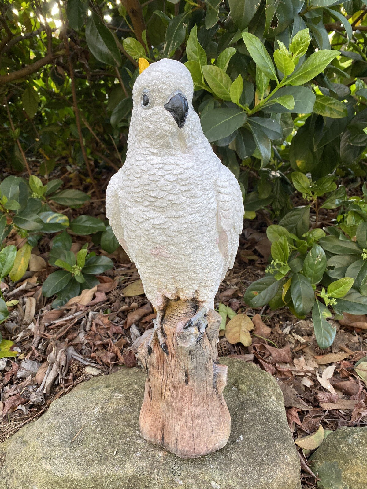 Sulfa Crested Cockatoo Garden Statue Ornament Animal Concrete  Australian Made
