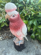 Resin Galah Parrot Bird Garden Statue Australian Bird Ornament 30cm
