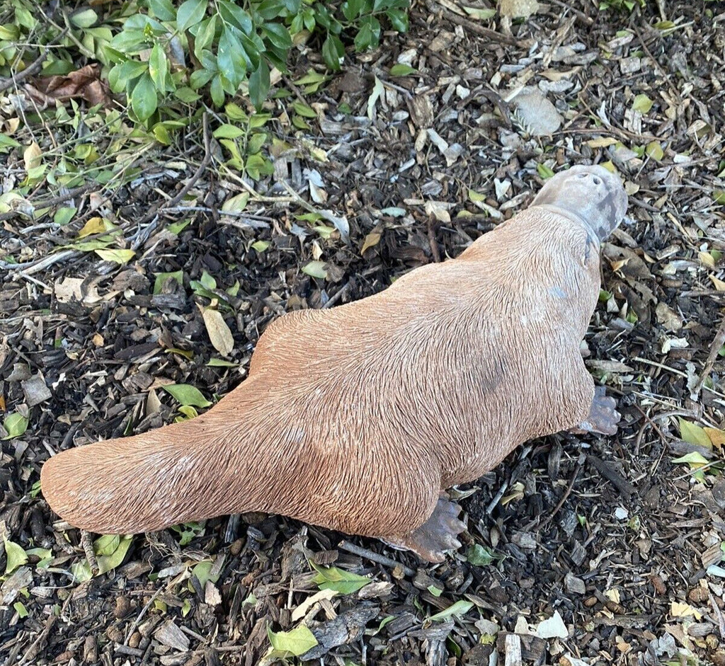 Platypus Statue Ornament Animal Concrete Cement Garden Australian Made Large