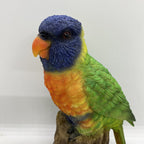 AUSTRALIAN RAINBOW LORIKEET BIRD ANIMAL GARDEN STATUE ORNAMENT  MONEY BOX
