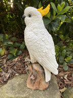 Sulfa Crested Cockatoo Garden Statue Ornament Animal Concrete  Australian Made