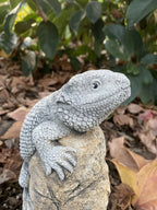 Bearded Dragon Lizard Statue Ornament Animal Concrete Garden Australian Made