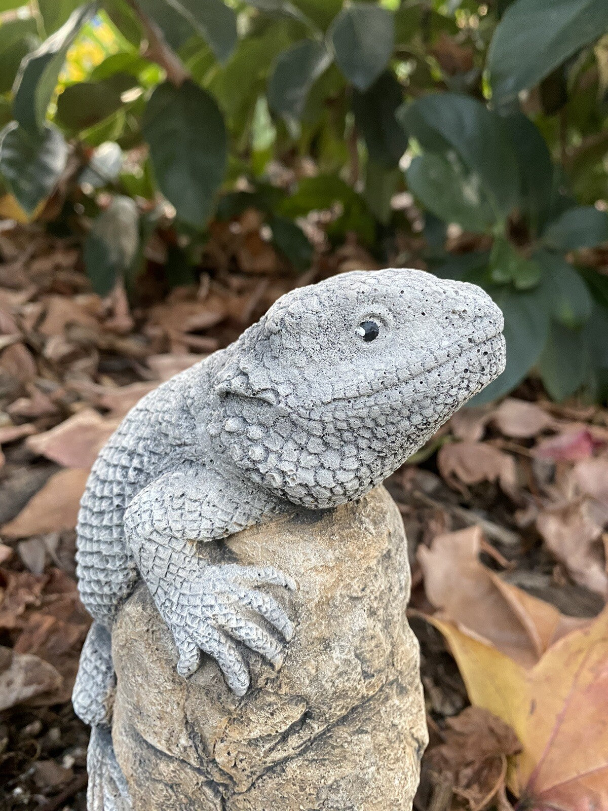 Bearded Dragon Lizard Statue Ornament Animal Concrete Garden Australian Made
