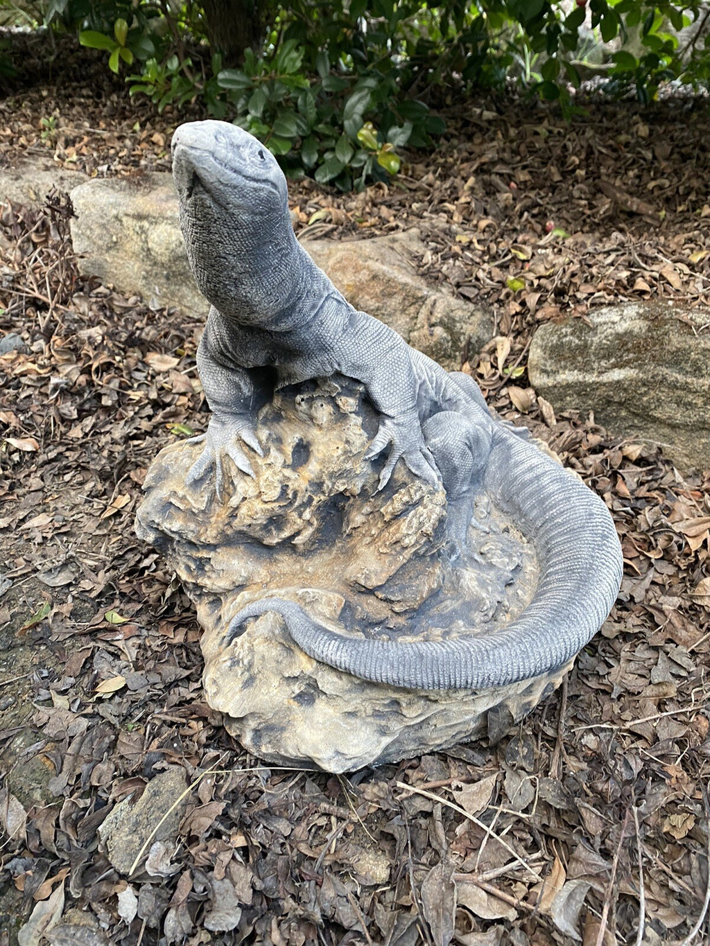 Goanna Basking Lizard tatue Ornament Animal Concrete Garden Australian Made