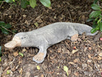 Platypus Statue Ornament Animal Concrete Cement Garden Australian Made