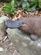 Platypus Statue Ornament Animal Concrete Cement Garden Australian Made Large Brn
