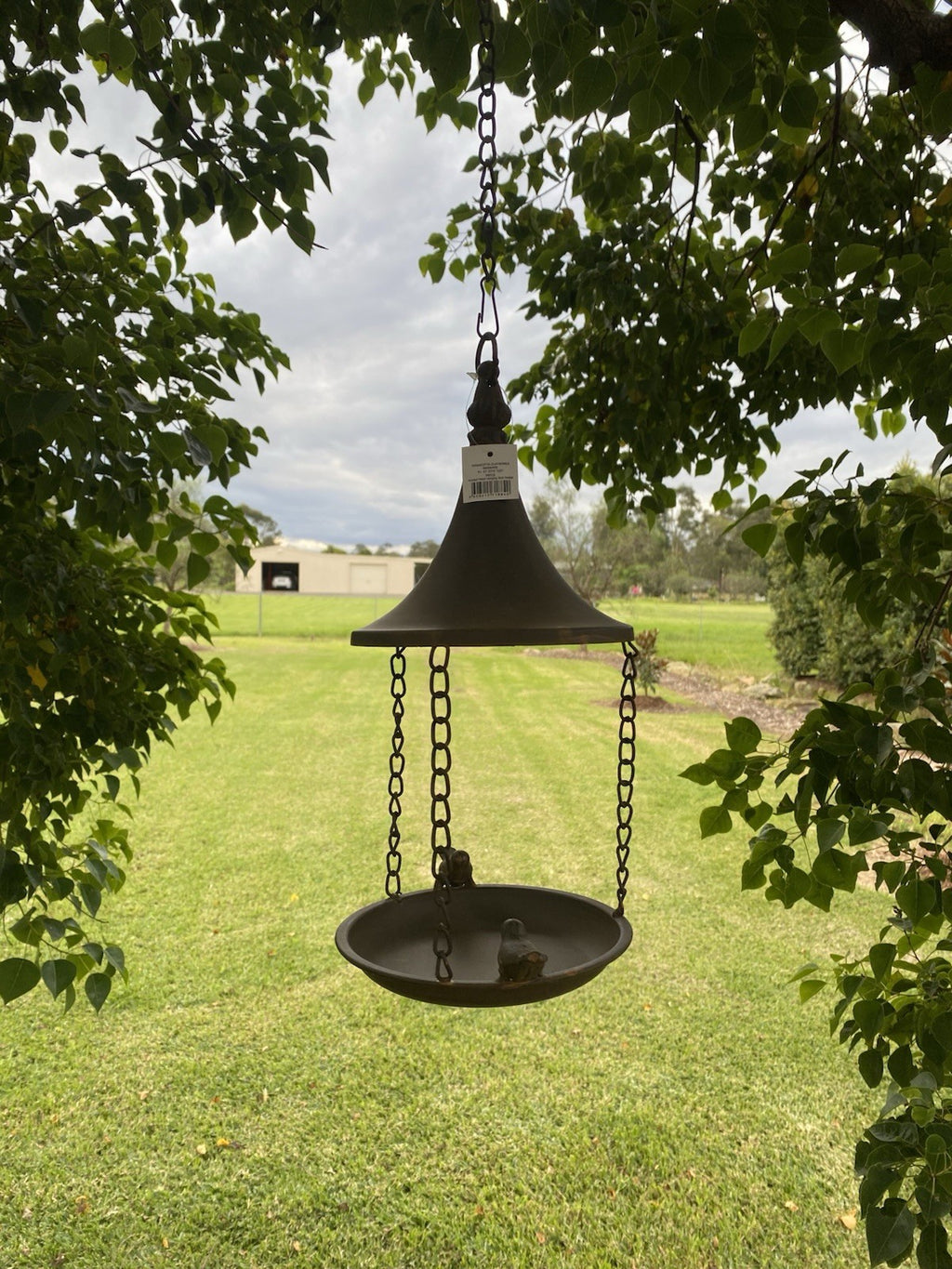 Wild Bird Feeder