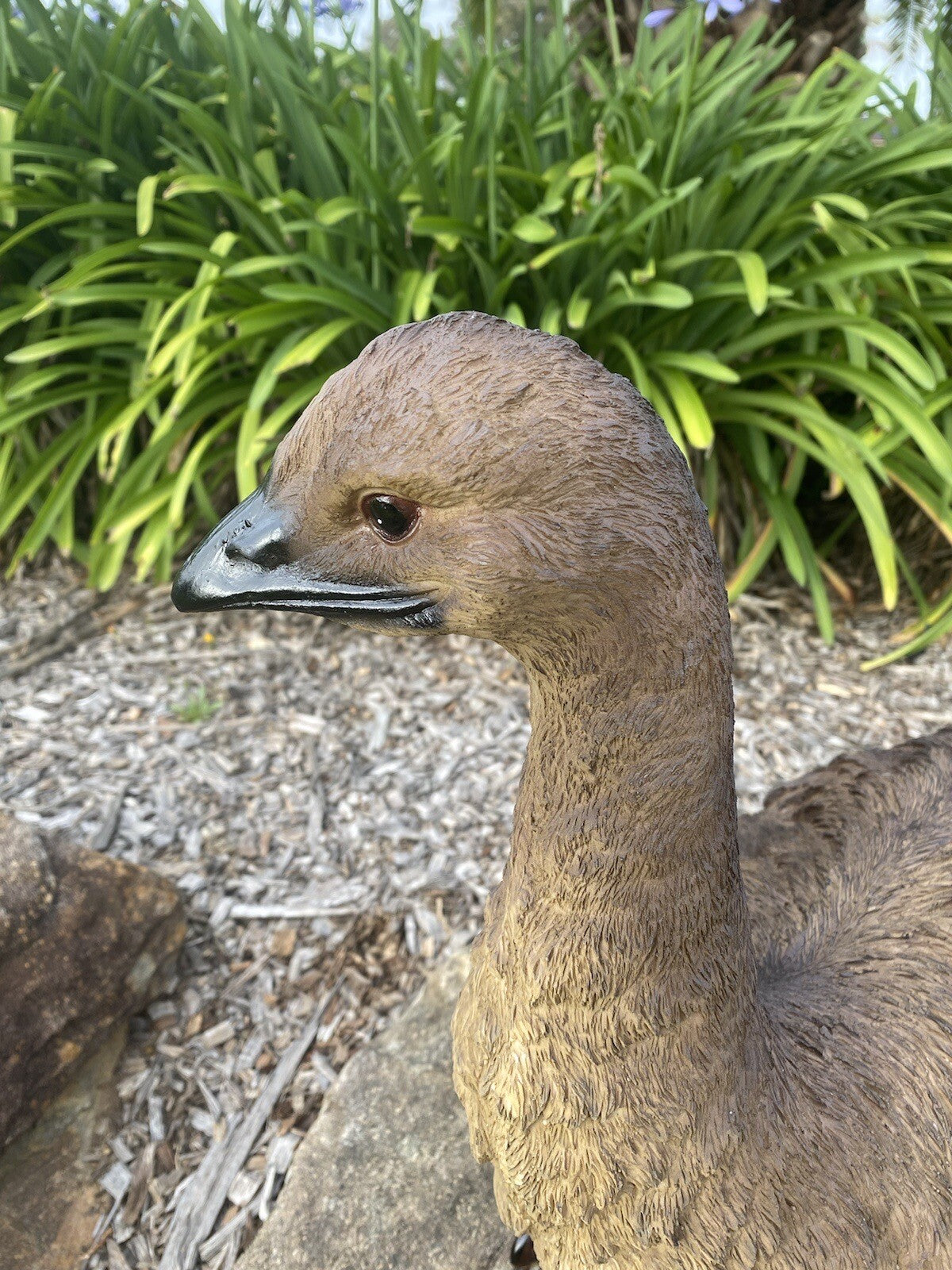 Emu Sitting Realistic Ornament Statue Garden Sculpture Décor  XLarge 65 cm