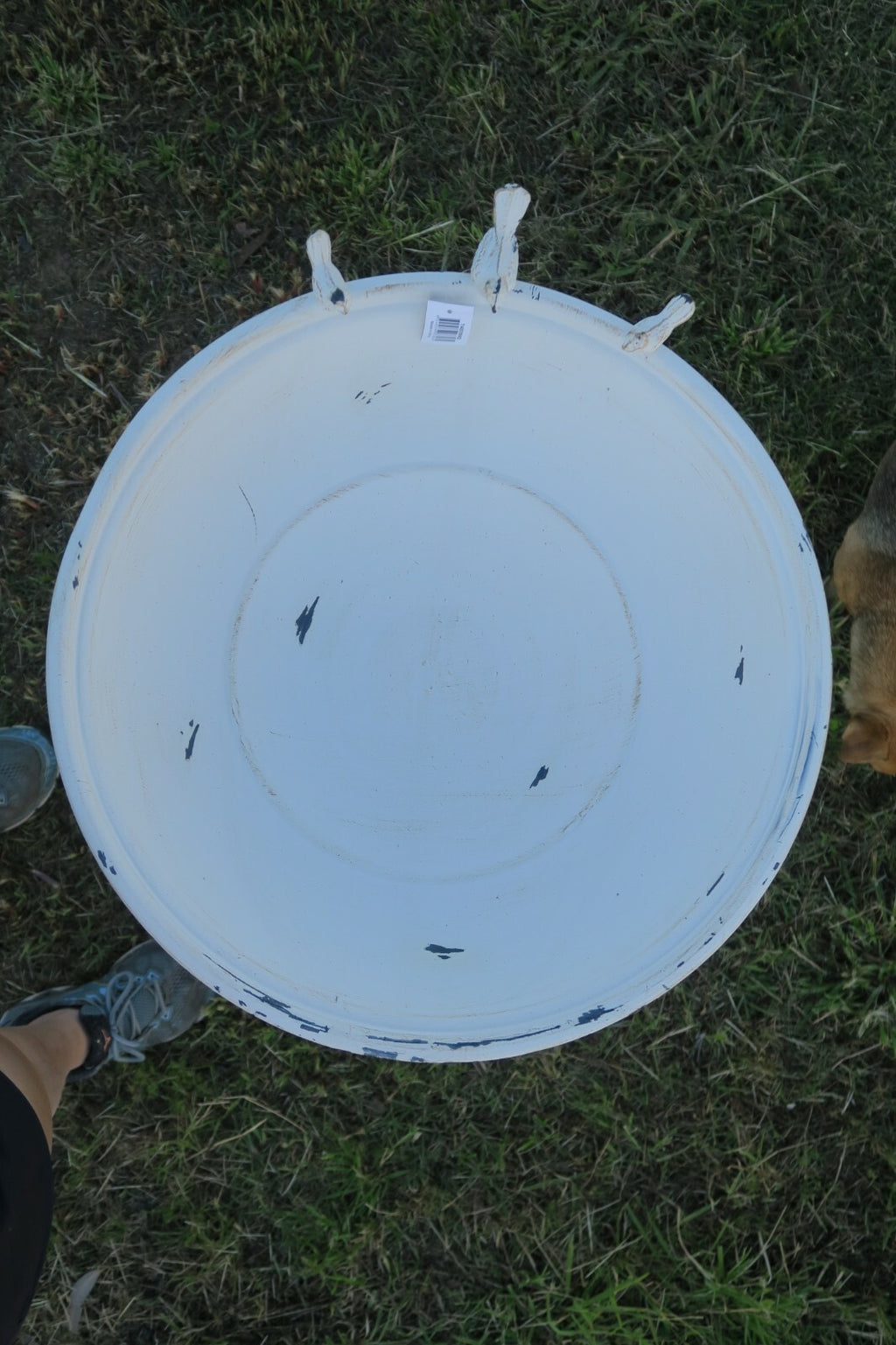 Wild Bird Bath Feeder Food Station Garden Ornaments Metal White Pad Bee Water