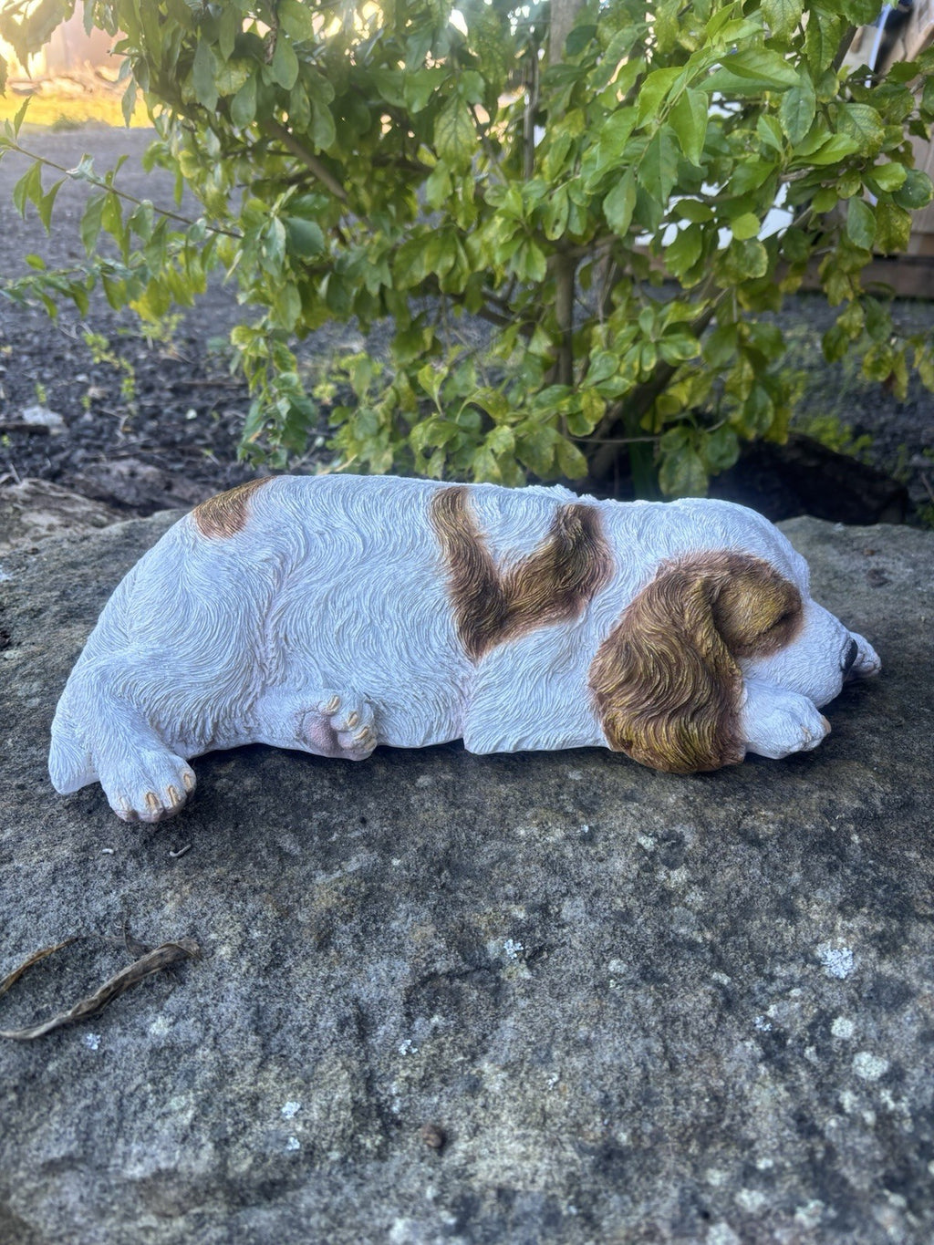 Resin Laying Cavalier King Charles Spaniel Garden Ornament | Indoor & Outdoor Do