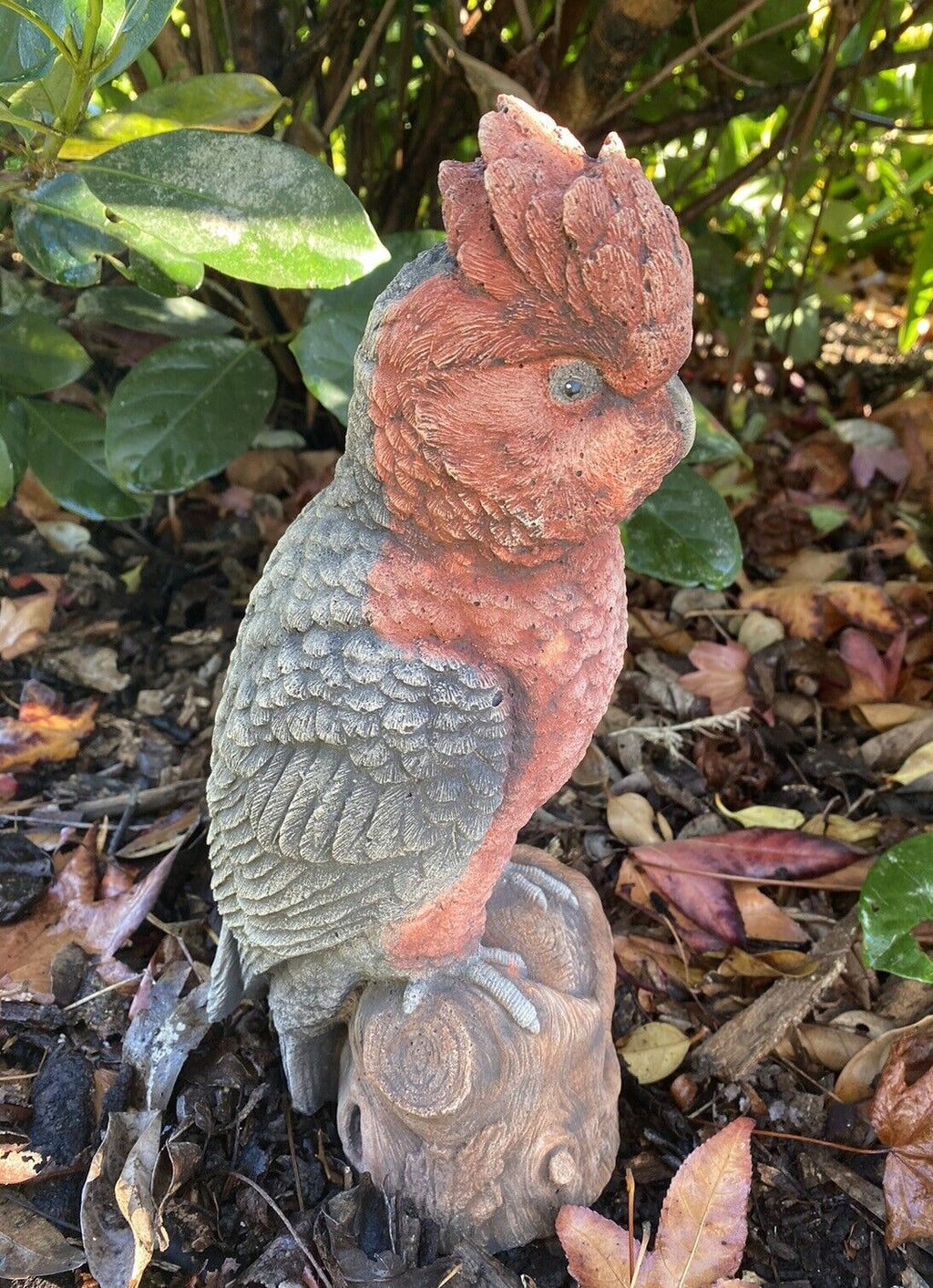 Galah Bird Statue Parrot Ornament Animal Concrete Garden Australian Made