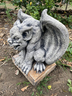 Gargoyle Garden Statue Medieval Ornament Animal Concrete Australian Made Grey