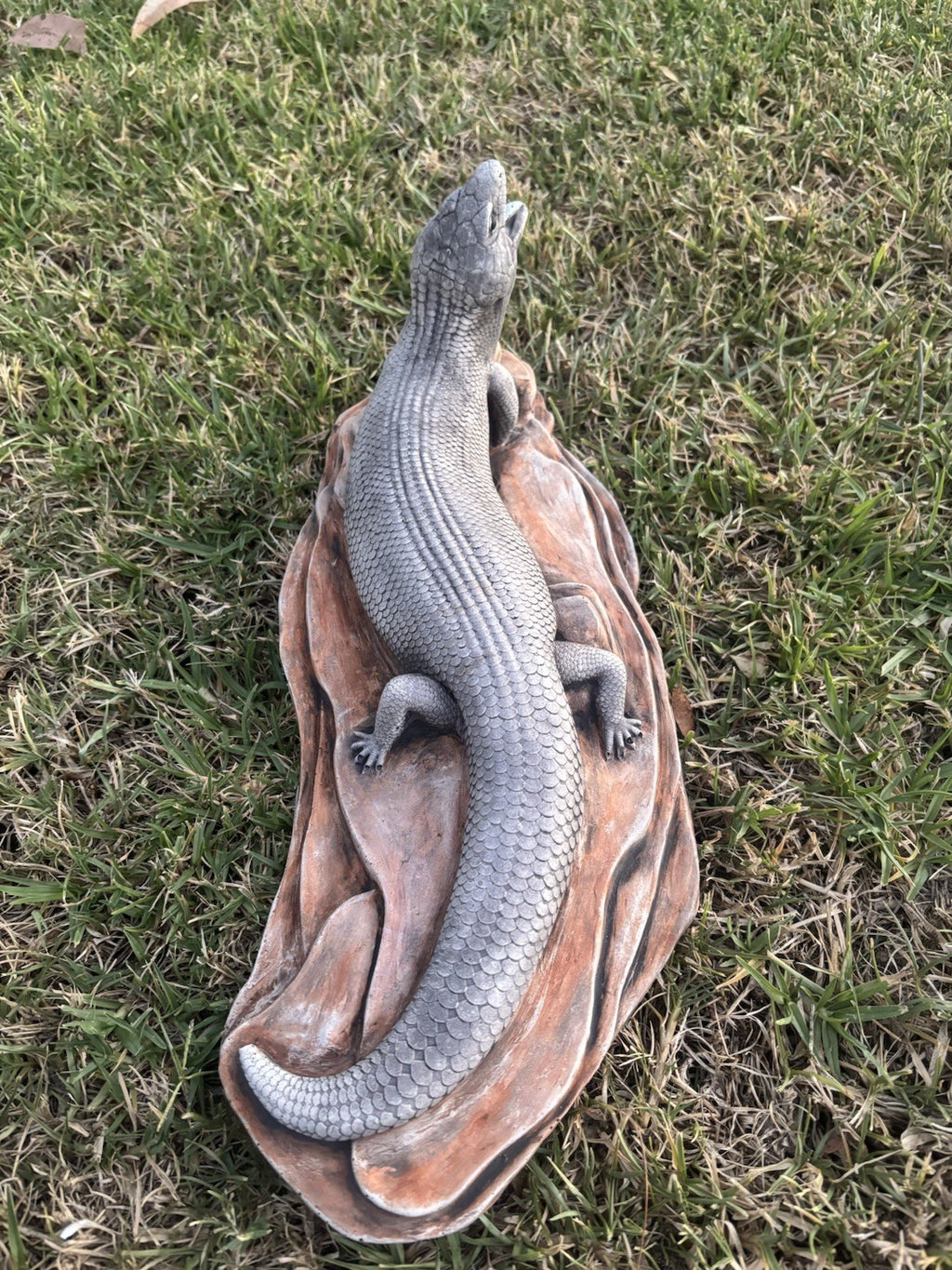 Blue Tongue Lizard Statue Ornament Animal Cement Concrete Garden Australian Made