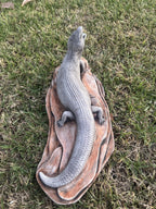 Blue Tongue Lizard Statue Ornament Animal Cement Concrete Garden Australian Made