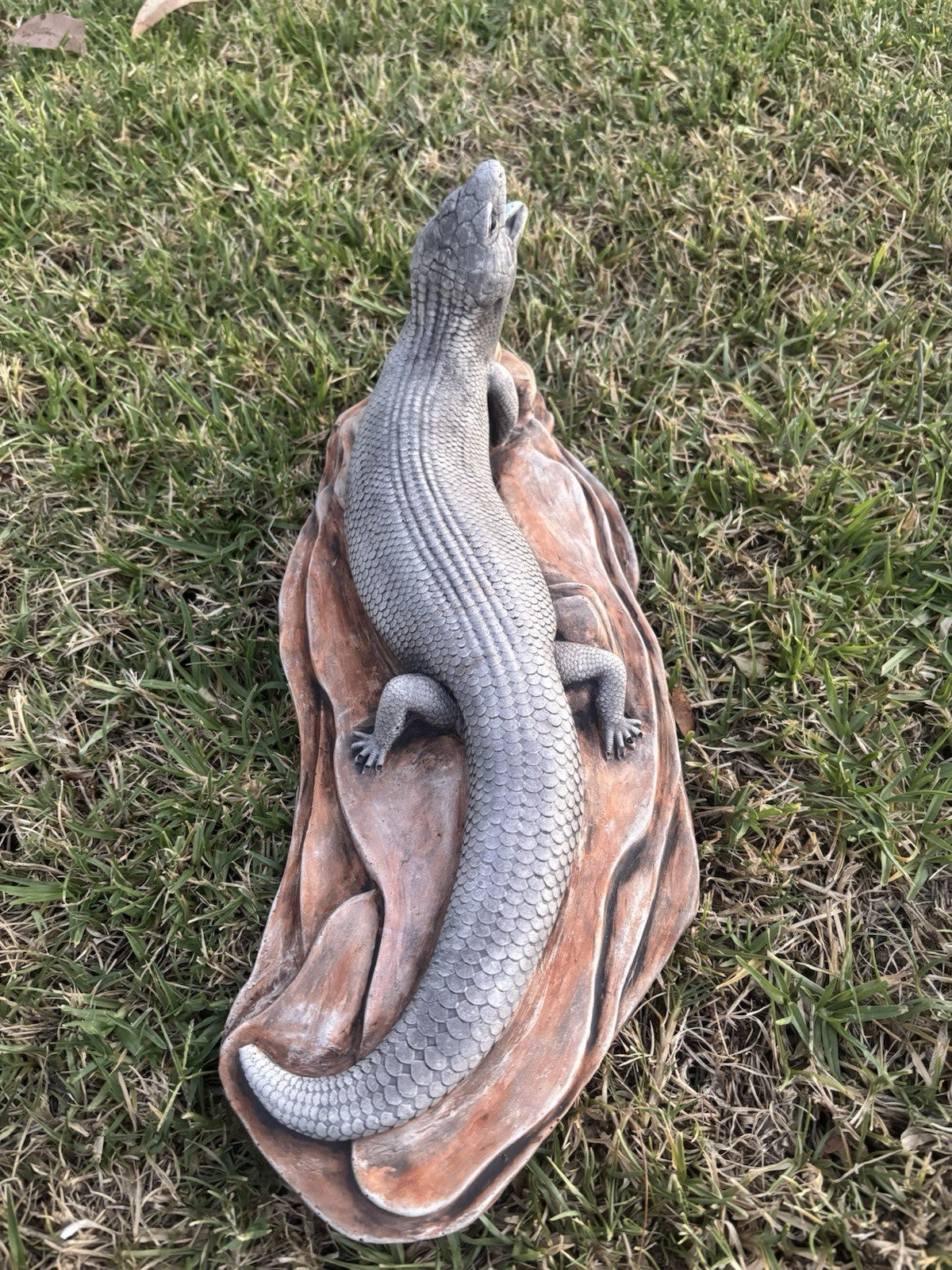 Blue Tongue Lizard Statue Ornament Animal Cement Concrete Garden Australian Made