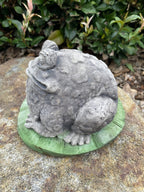 Smiling Frog  Animal Concrete Cement Garden Statue Australian Made