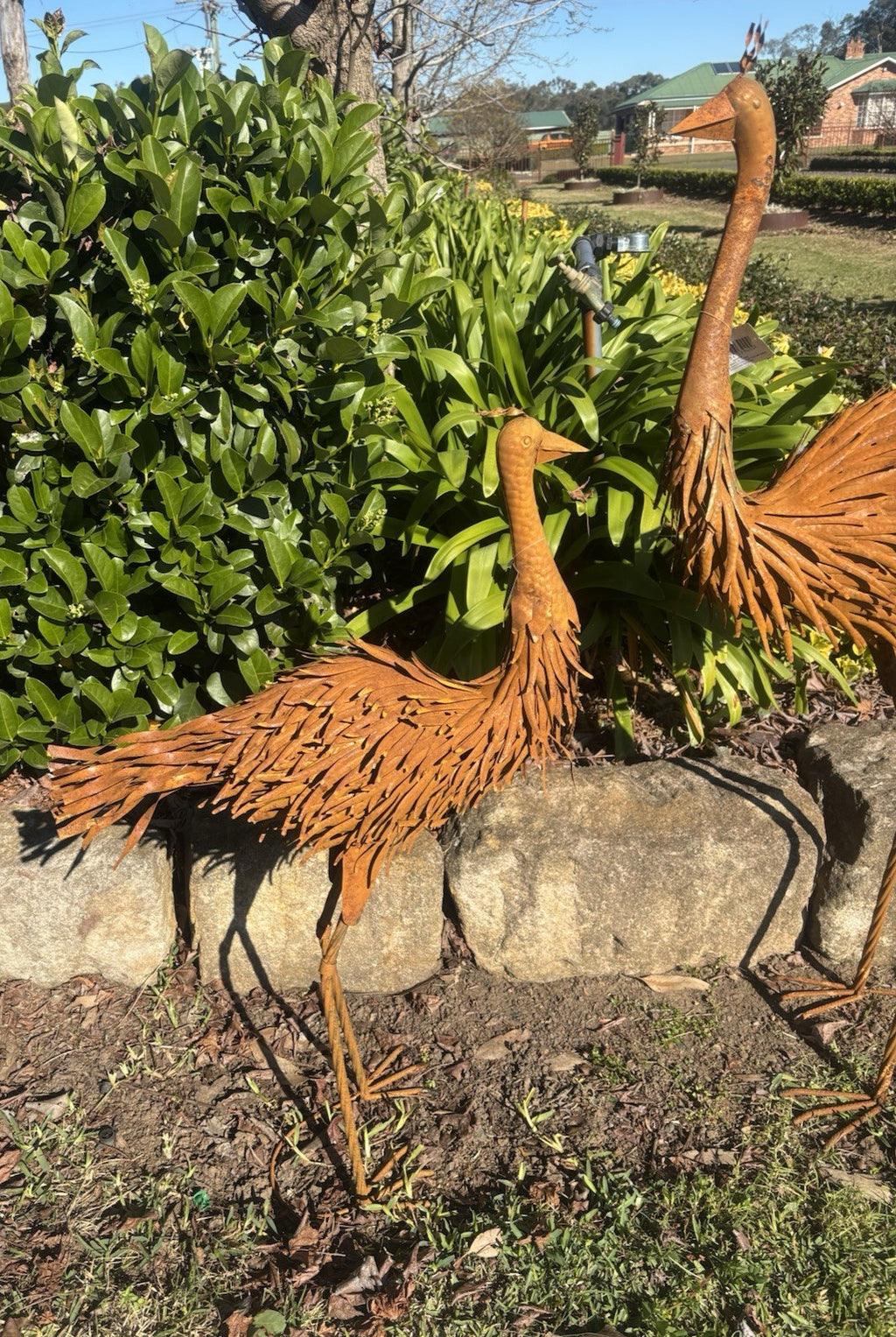 Large Rustic Metal Emu Set Garden Statues Australian Outdoor Garden Ornaments