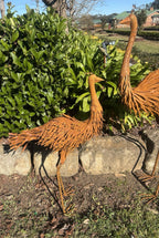 Large Rustic Metal Emu Set Garden Statues Australian Outdoor Garden Ornaments
