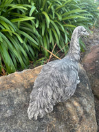 Conrete Emu Garden Statue for Australian Gardens