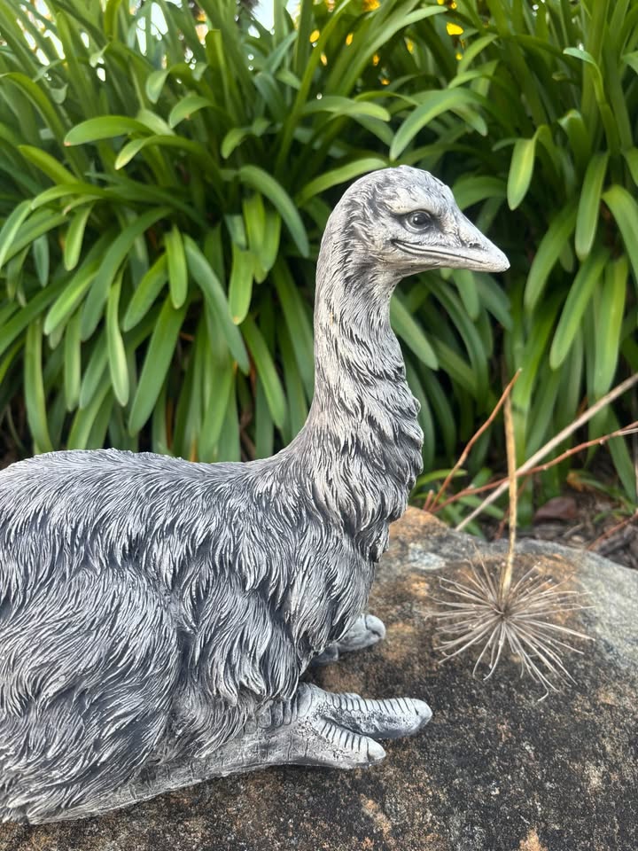Conrete Emu Garden Statue for Australian Gardens