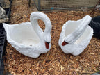 Concrete White Swan Planter Garden Statue Ornaments – Outdoor Cement Flower Pot Decor Australia
