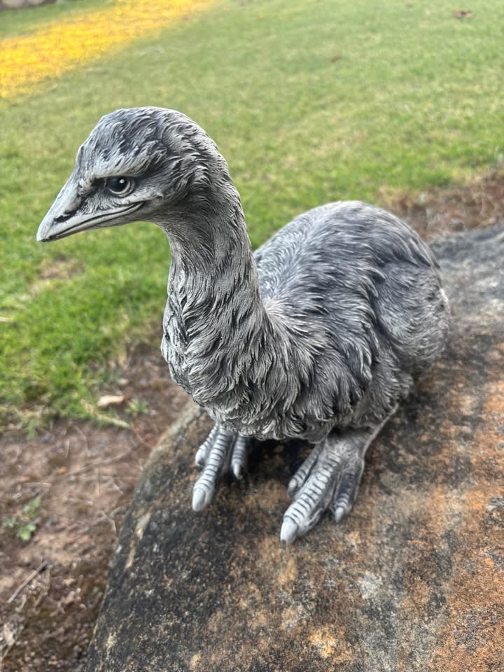 Conrete Emu Garden Statue for Australian Gardens