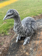 Conrete Emu Garden Statue for Australian Gardens