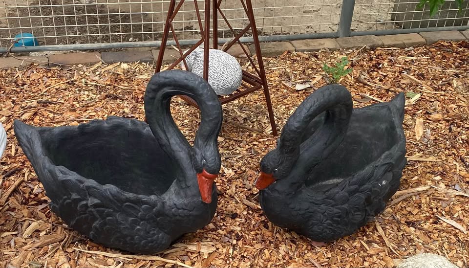 Concrete Swan Planter Garden Statue Ornaments – Outdoor Cement Flower Pot Decor Australia