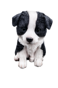 Border Collie Sitting Statue Working Sheepdog Ornament Memorial Home Decor 17 CM