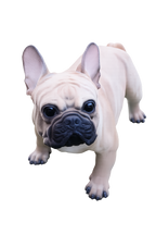 French Bulldog Statue Dog Doggy Memorial Ornament Frenchie Home Decor Brown