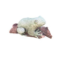 Green Tree Frog On A Log  Animal Concrete Cement Garden Statue Australian Made