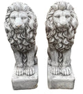Guardian Lion Statue Concrete Cement Garden Statue Australian Made 75cm